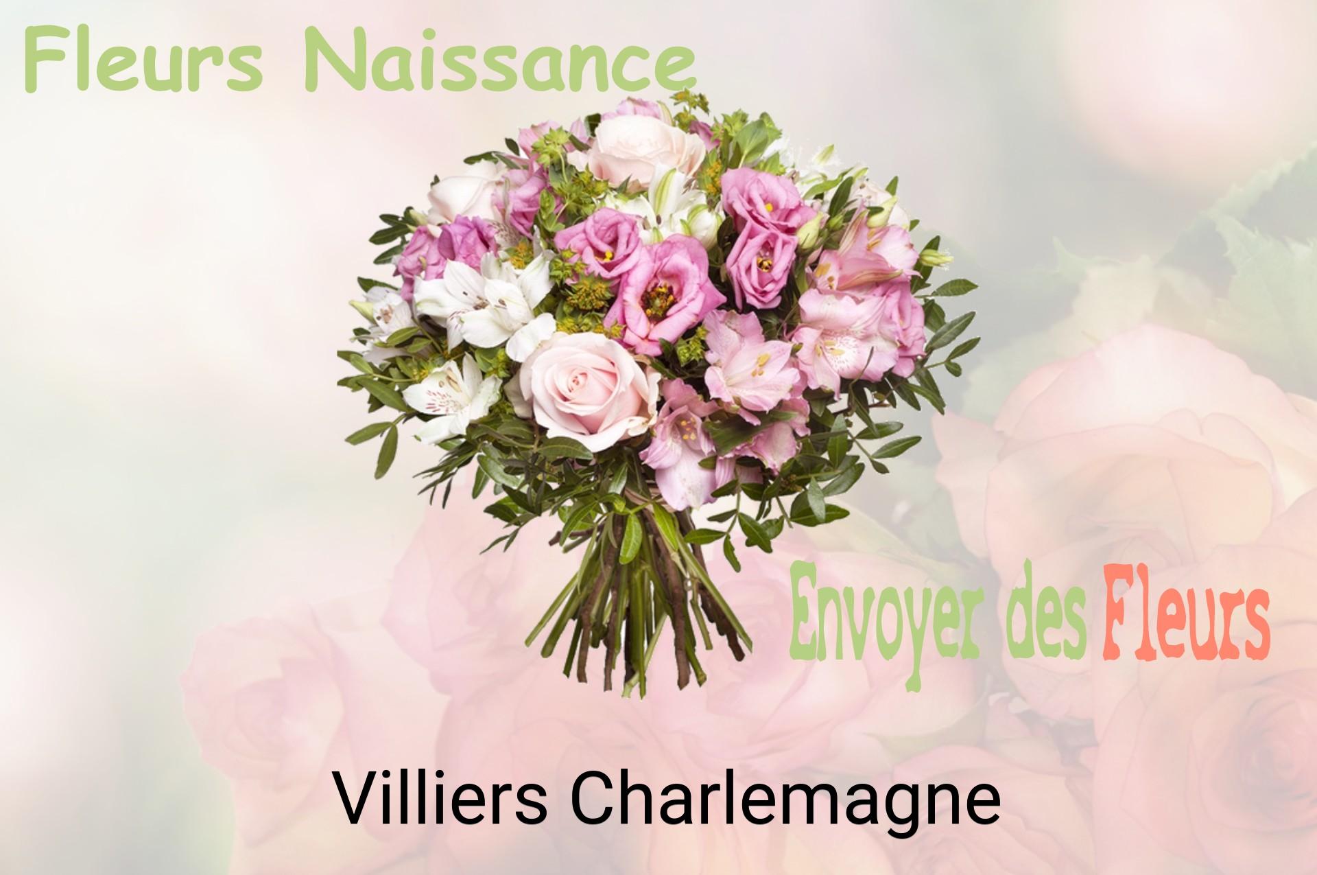 Bouquet de fleurs de naissance livré à Villiers-Charlemagne
