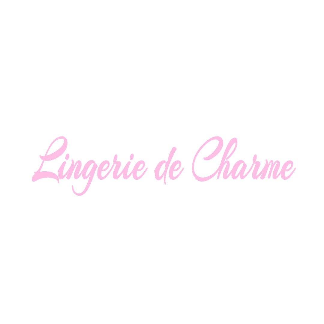 LINGERIE DE CHARME VILLIERS-CHARLEMAGNE